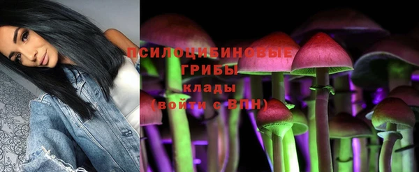 меф Няндома