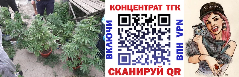 hydra ссылки  Костомукша  Дистиллят ТГК Wax 