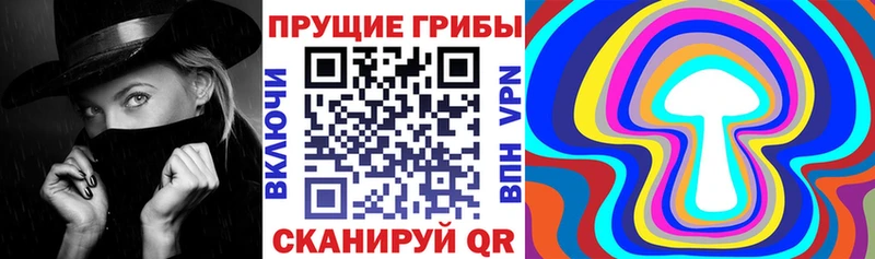 Псилоцибиновые грибы прущие грибы  Костомукша 